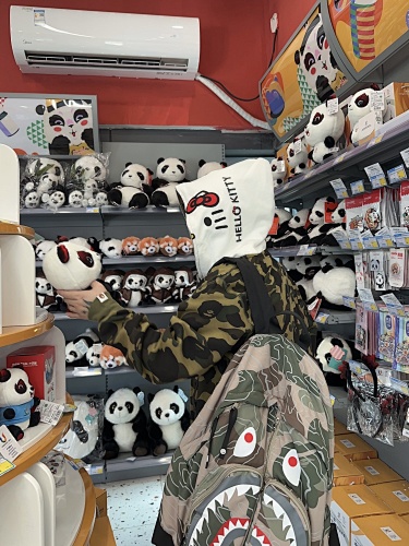 bape6805