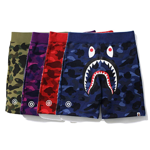 bape6204